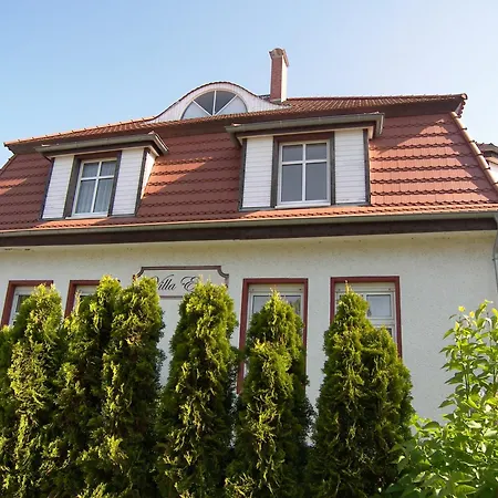 Exss - Harmonie Daire