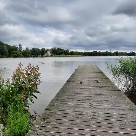 Exss - Harmonie Daire *